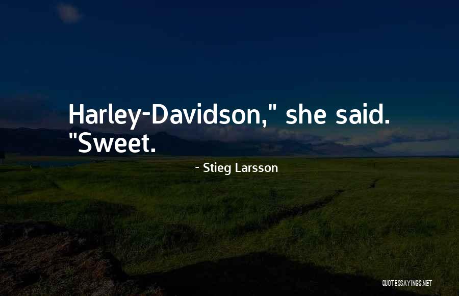Larsson Quotes By Stieg Larsson