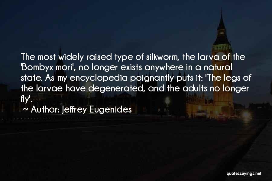 Larva Quotes By Jeffrey Eugenides
