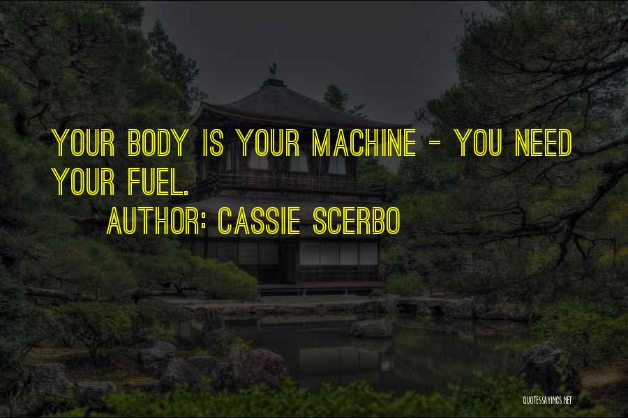 Larvae In Skin Quotes By Cassie Scerbo