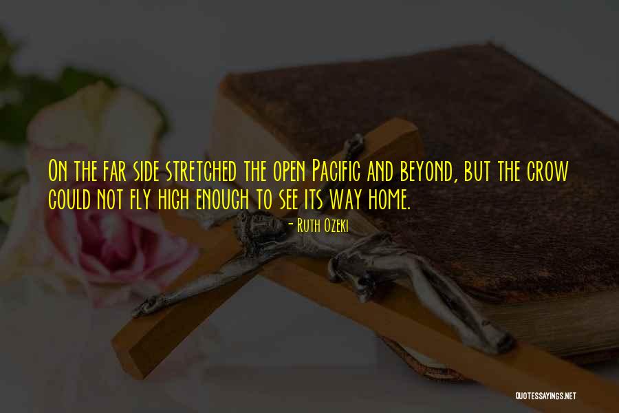 Lasansky Iowa Quotes By Ruth Ozeki Lasansky Iowa Quotes By Ruth Ozeki