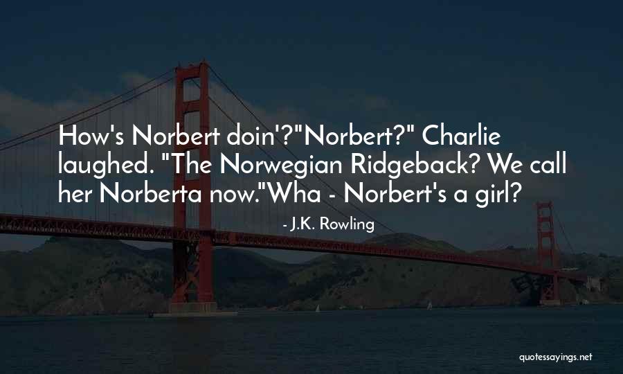 Lasantha Kumara Quotes By J.K. Rowling Lasantha Kumara Quotes By J.K. Rowling
