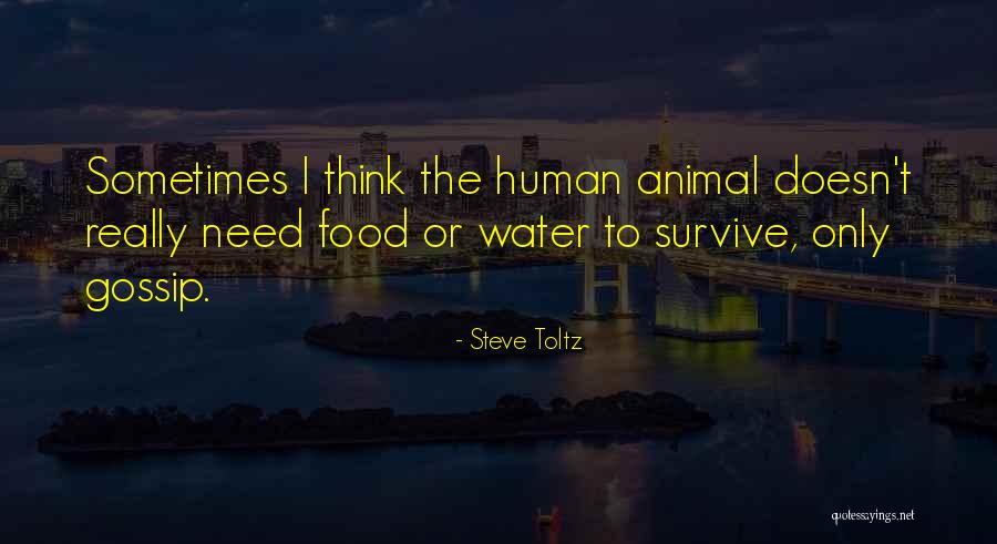 Lasata East Quotes By Steve Toltz Lasata East Quotes By Steve Toltz