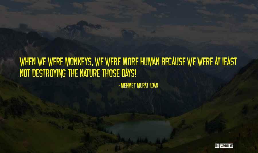 Lasater Ranch Quotes By Mehmet Murat Ildan Lasater Ranch Quotes By Mehmet Murat Ildan