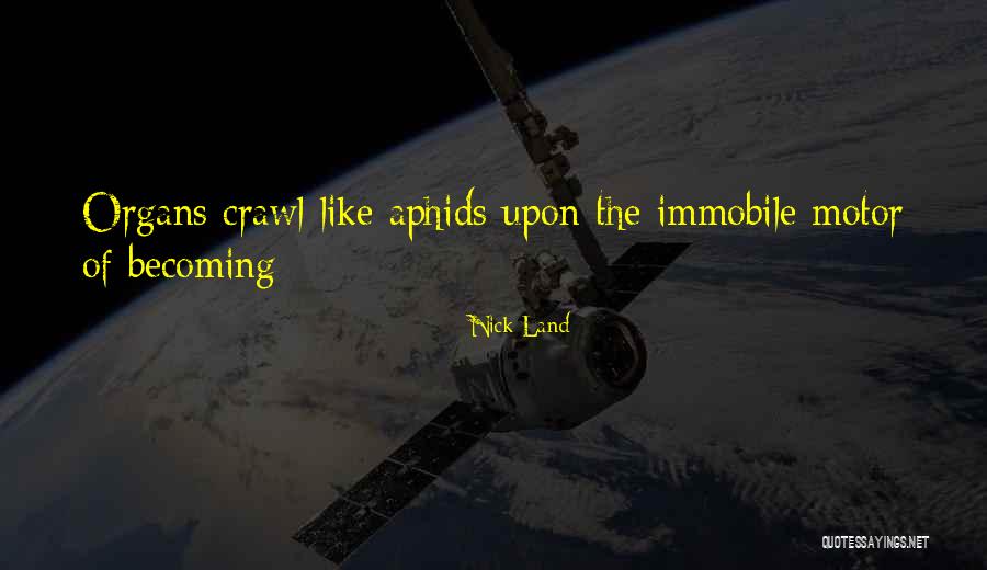 Lasciate Mi Quotes By Nick Land Lasciate Mi Quotes By Nick Land