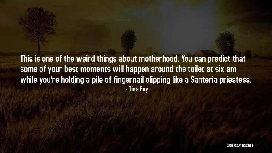Lasduniversity Quotes By Tina Fey Lasduniversity Quotes By Tina Fey