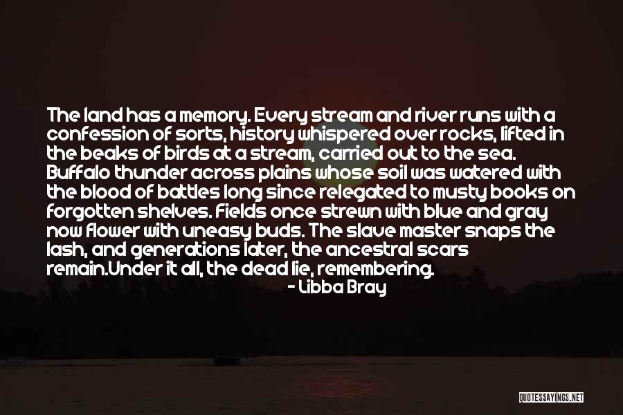 Lash Quotes By Libba Bray Lash Quotes By Libba Bray