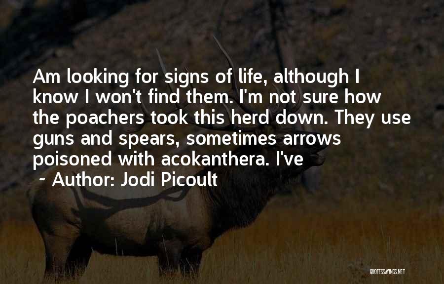 Lasong Quotes By Jodi Picoult