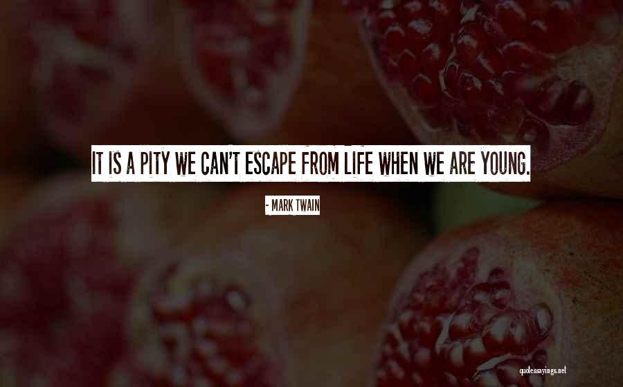 Lasorsa Knoxville Quotes By Mark Twain Lasorsa Knoxville Quotes By Mark Twain