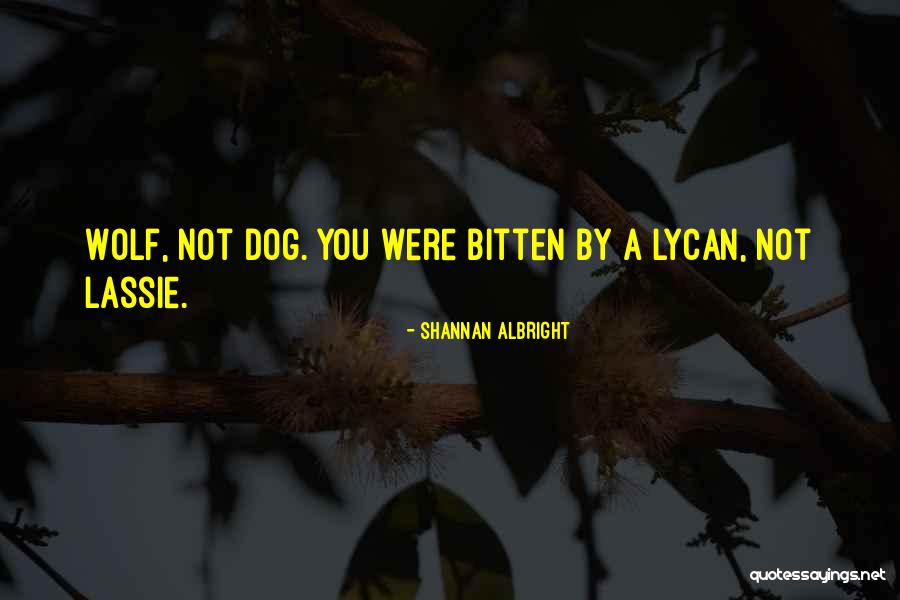 Lassie Dog Quotes By Shannan Albright