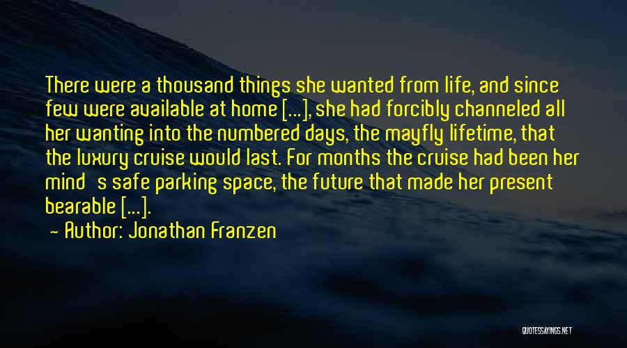 Last A Lifetime Quotes By Jonathan Franzen