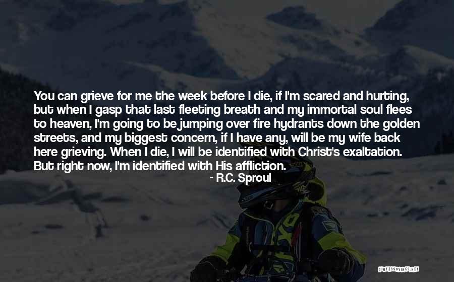 Last Breath Quotes By R.C. Sproul Last Breath Quotes By R.C. Sproul