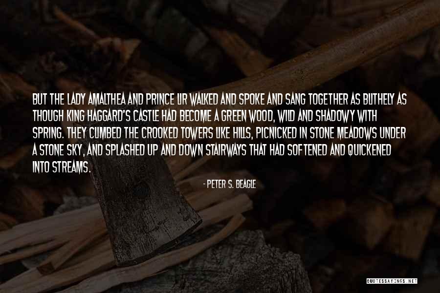 Last Castle Best Quotes By Peter S. Beagle Last Castle Best Quotes By Peter S. Beagle
