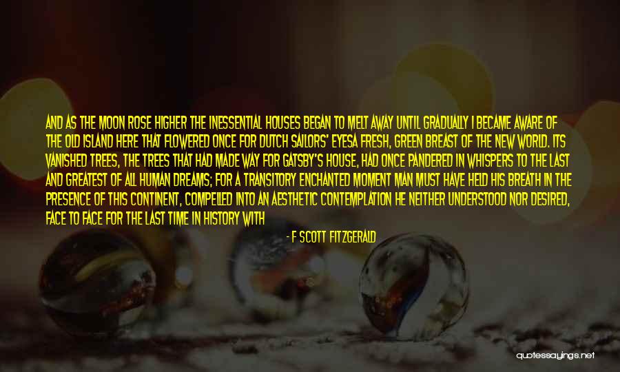 Last Continent Quotes By F Scott Fitzgerald Last Continent Quotes By F Scott Fitzgerald