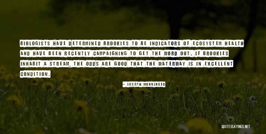 Last Day In University Quotes By Joseph Monninger Last Day In University Quotes By Joseph Monninger