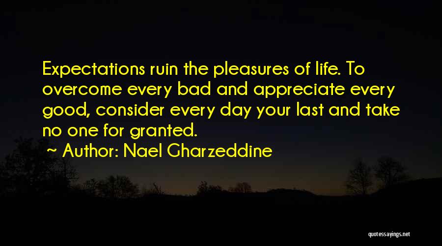 Last Day Living Quotes By Nael Gharzeddine