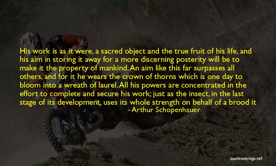 Last Day Of Work Quotes By Arthur Schopenhauer Last Day Of Work Quotes By Arthur Schopenhauer