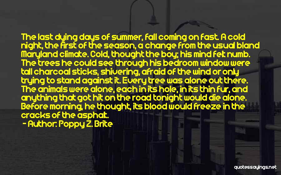 Last Few Days Of Summer Quotes By Poppy Z. Brite