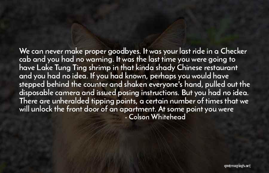 Last Goodbyes Quotes By Colson Whitehead Last Goodbyes Quotes By Colson Whitehead
