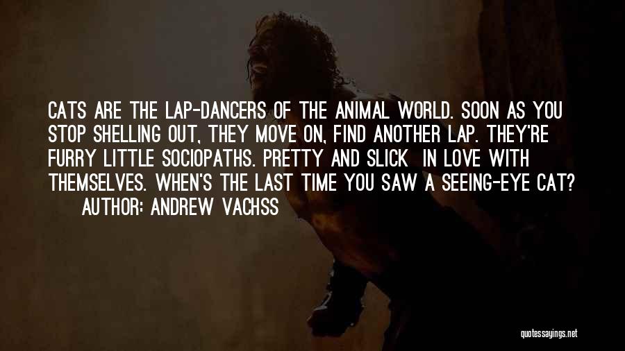 Last Lap Quotes By Andrew Vachss