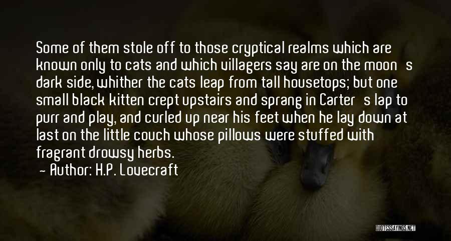 Last Lap Quotes By H.P. Lovecraft