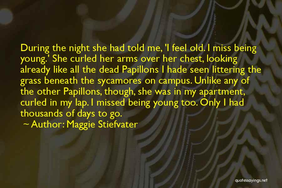 Last Lap Quotes By Maggie Stiefvater