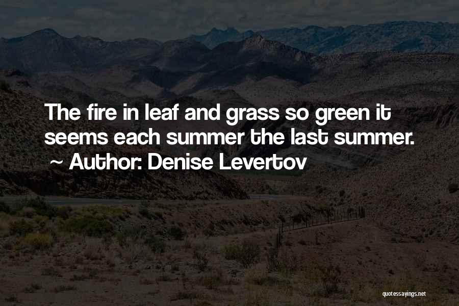 Last Leaf Quotes By Denise Levertov