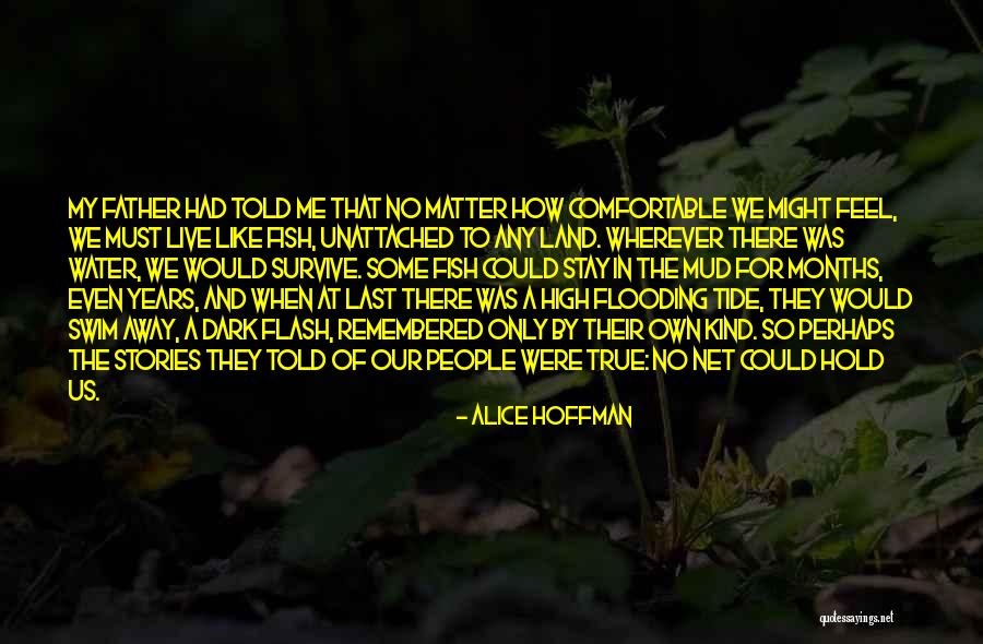 Last Net Quotes By Alice Hoffman Last Net Quotes By Alice Hoffman