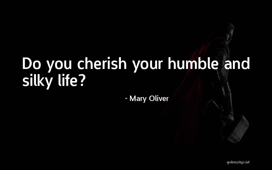 Last Of Mohicans Quotes By Mary Oliver Last Of Mohicans Quotes By Mary Oliver