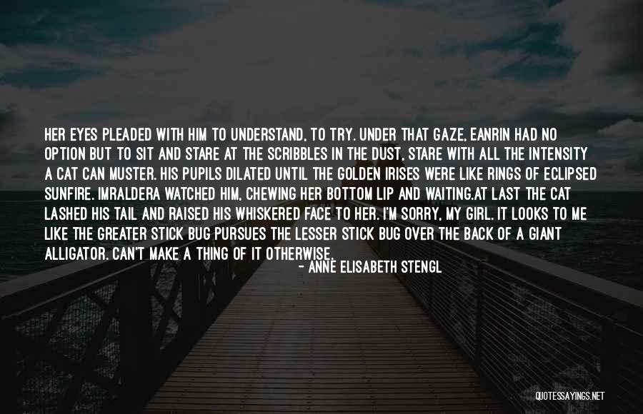 Last Option Quotes By Anne Elisabeth Stengl Last Option Quotes By Anne Elisabeth Stengl