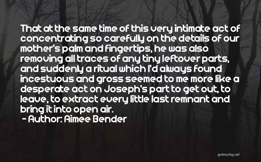 Last Remnant Quotes By Aimee Bender