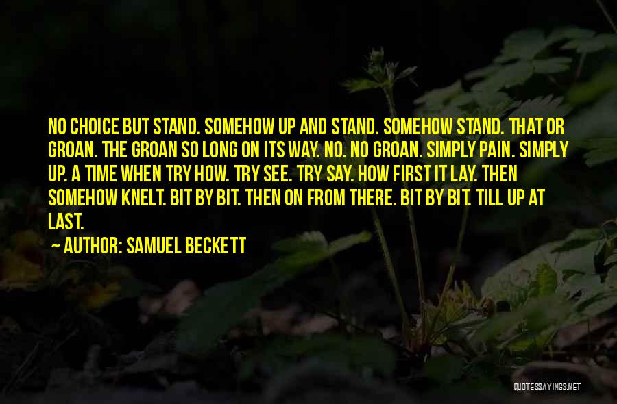 Last Stand Quotes By Samuel Beckett
