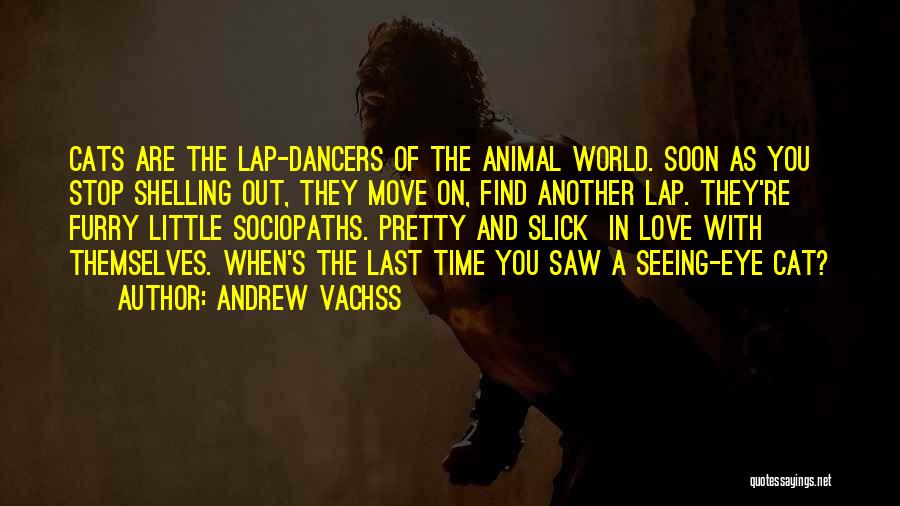 Last Time Seeing You Quotes By Andrew Vachss