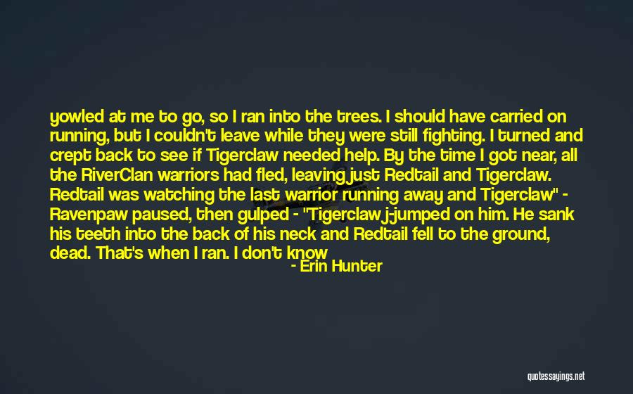 Last Time You See Someone Quotes By Erin Hunter Last Time You See Someone Quotes By Erin Hunter