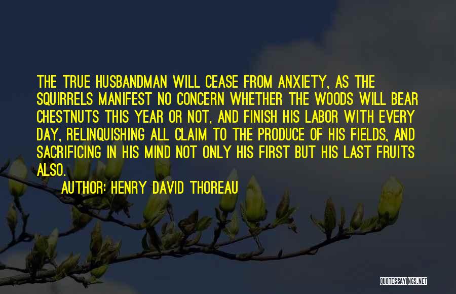 Last To Finish Quotes By Henry David Thoreau