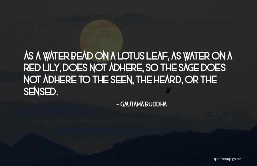 Laster Orthodontics Quotes By Gautama Buddha Laster Orthodontics Quotes By Gautama Buddha