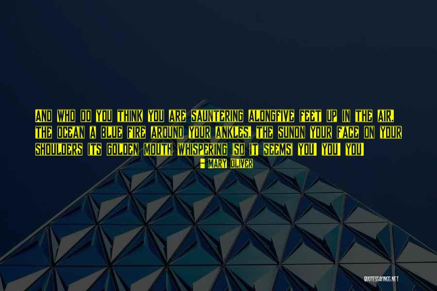 Latapy Fc Quotes By Mary Oliver Latapy Fc Quotes By Mary Oliver