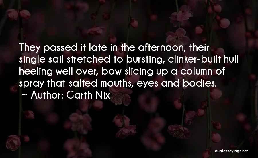 Late Afternoon Quotes By Garth Nix