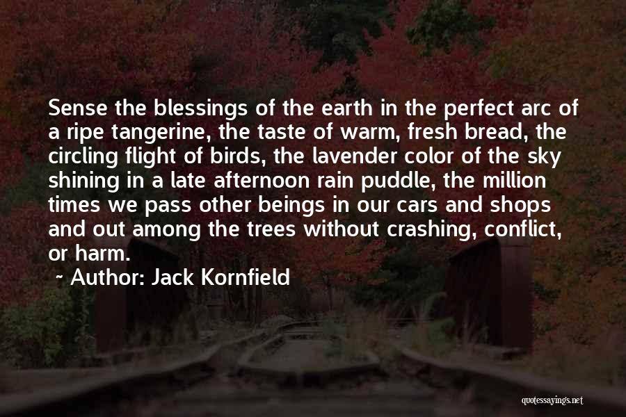 Late Afternoon Quotes By Jack Kornfield