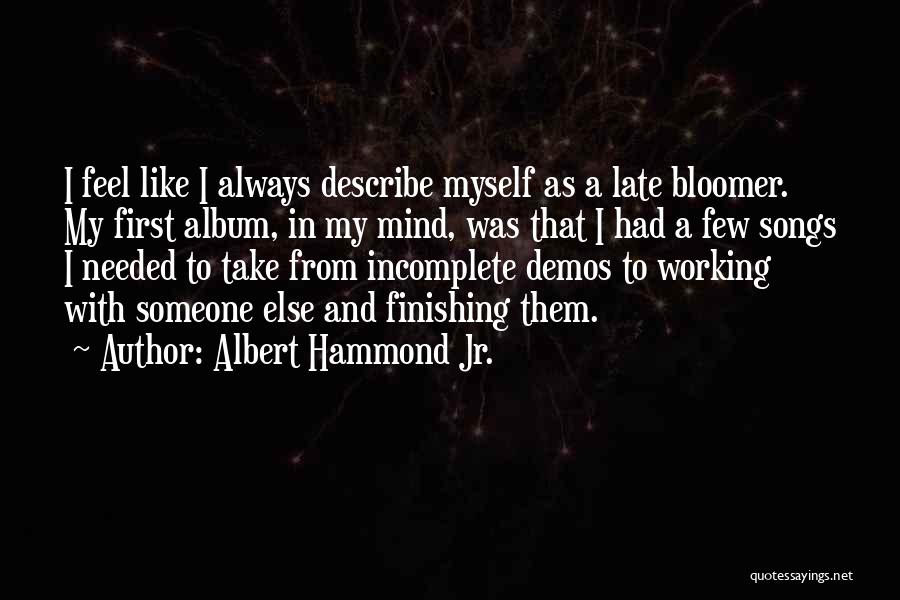 Late Bloomer Quotes By Albert Hammond Jr.