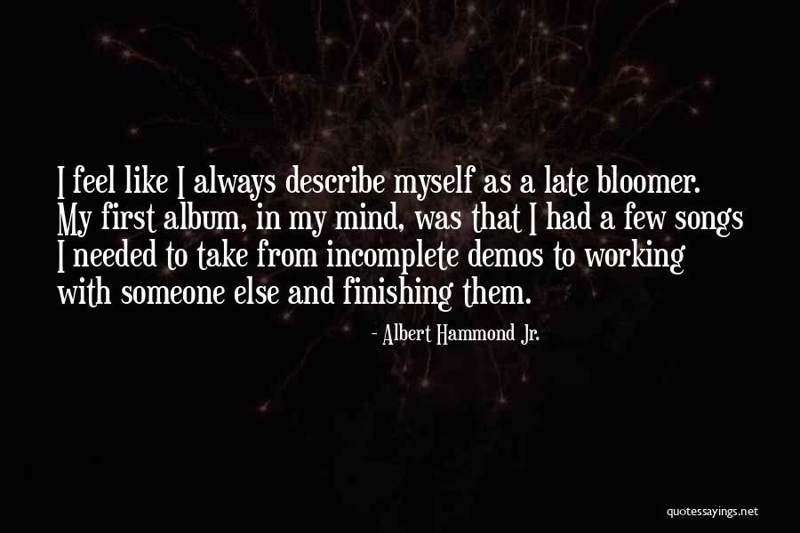 Late Bloomer Quotes By Albert Hammond Jr.