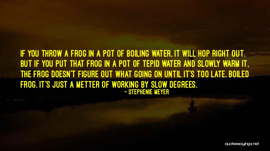 Late But Right Quotes By Stephenie Meyer