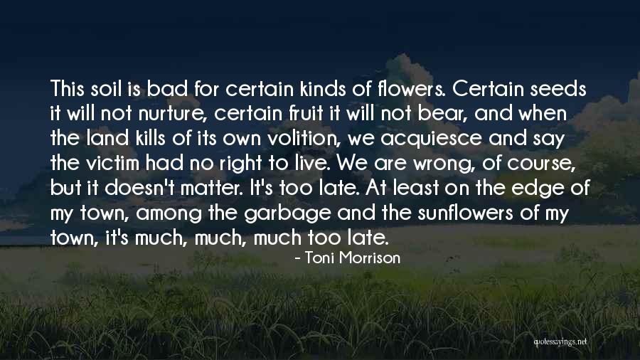 Late But Right Quotes By Toni Morrison