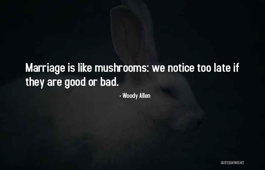 Late Marriage Quotes By Woody Allen Late Marriage Quotes By Woody Allen
