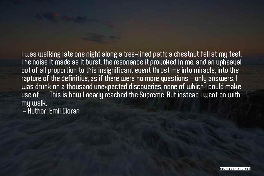 Late Night Walk Quotes By Emil Cioran