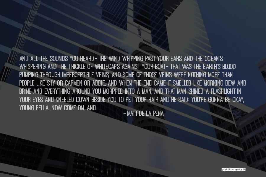 Late Realisation Of Love Quotes By Matt De La Pena