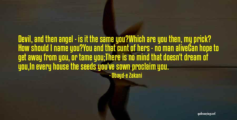 Latencia De Internet Quotes By Obayd-e Zakani Latencia De Internet Quotes By Obayd-e Zakani