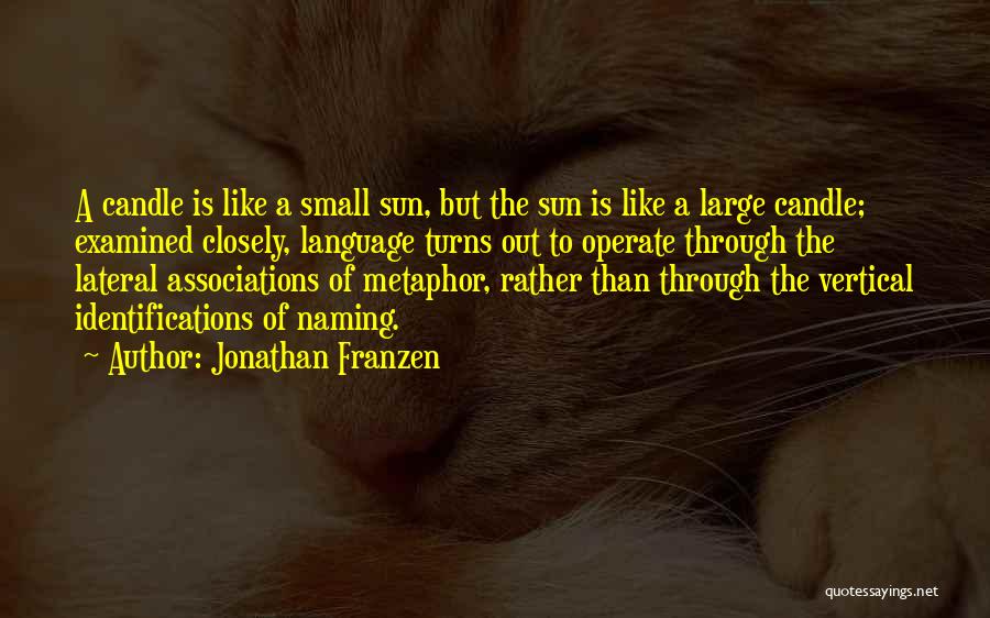 Lateral Quotes By Jonathan Franzen