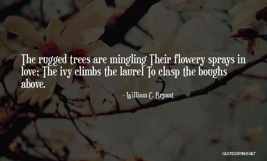 Lateritiam Quotes By William C. Bryant Lateritiam Quotes By William C. Bryant