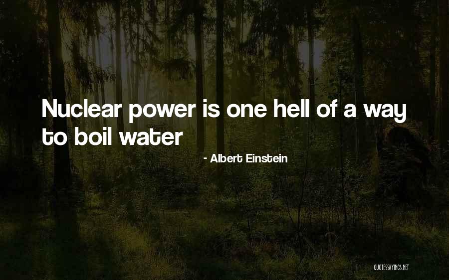 Latica Alternative Resort Quotes By Albert Einstein