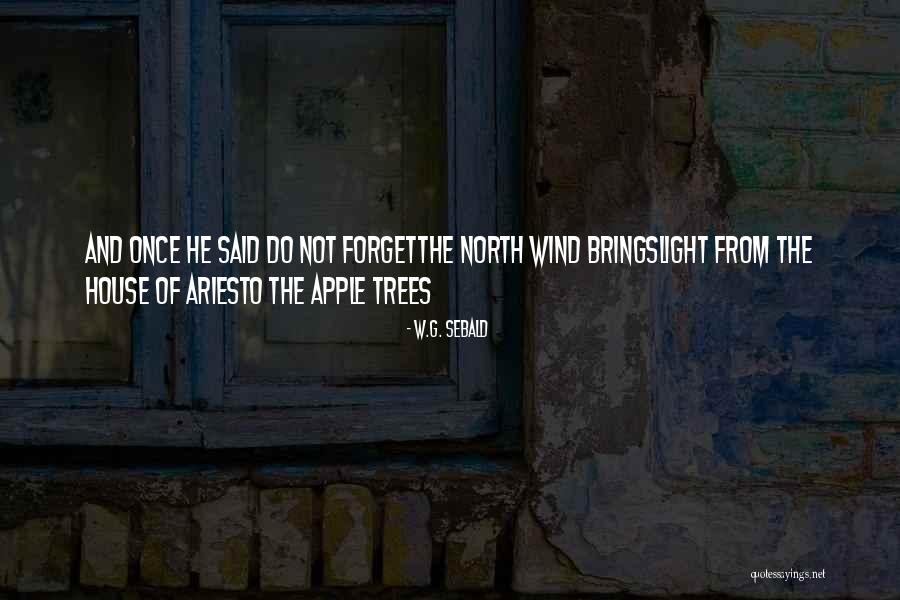 Latijnse Levens Quotes By W.G. Sebald Latijnse Levens Quotes By W.G. Sebald